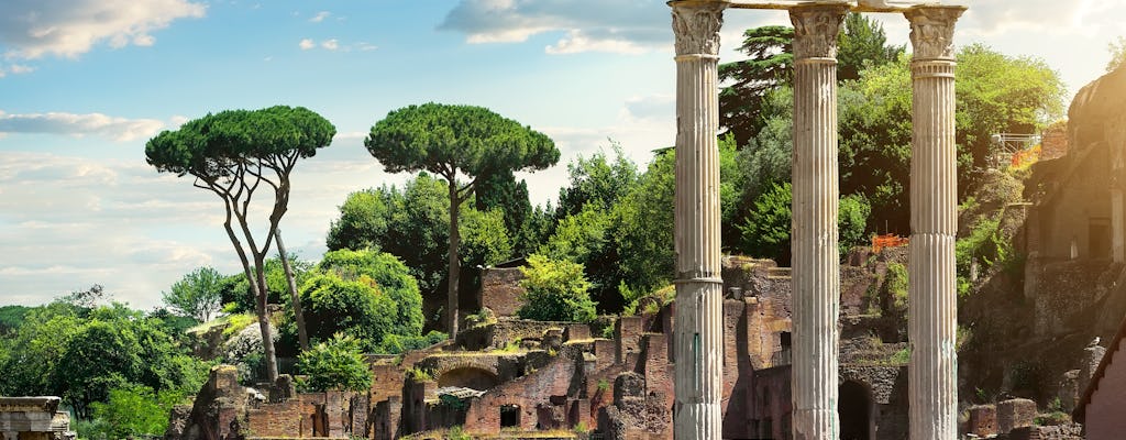 Tour em grupo pequeno pelo Coliseu, pelo Fórum Romano e pelo Monte Palatino