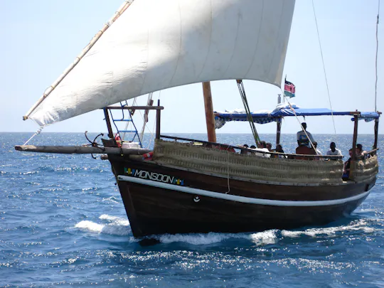 Excursión de snorkel en el Parque Marino de Kisite con el dhow Pilli Pipa
