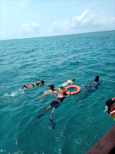 Kisite Marine Park snorkelling tour with Pilli Pipa dhow