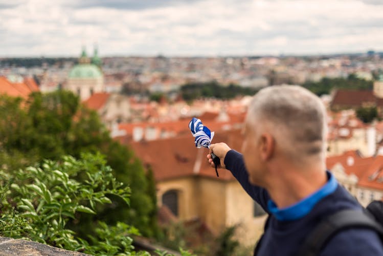 Introductory tour of Prague Castle with skip-the-line ticket