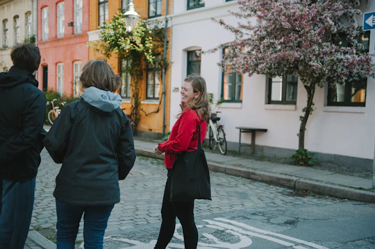 Hygge and happiness morning tour of Copenhagen