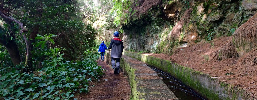 Randonnée pédestre aux sources de La Palma