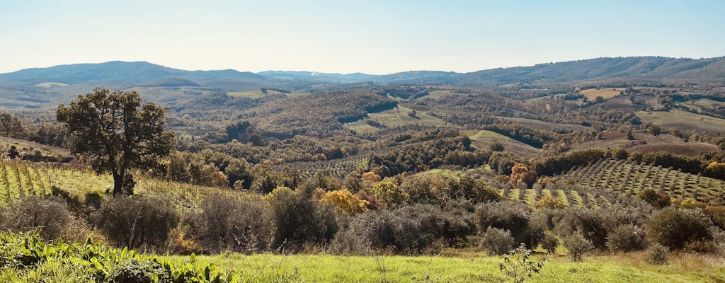 Degustacja ekologicznych win, spacer po winnicy i zwiedzanie winnicy w Fattoria La Maliosa