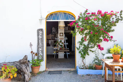 Guadiana Nature Safari Half Day