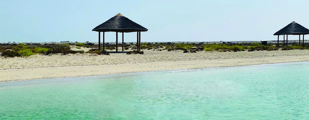 Croisière en boutre de 3 heures sur l'île d'Al Safliya