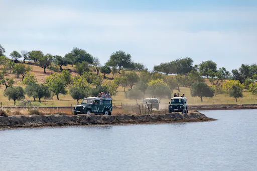 Guadiana Nature Safari Half Day