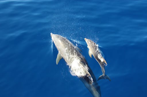 202012075fce121f54e2b.jpg