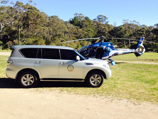 Helicopter flight to Blue Mountains  and 4WD tour