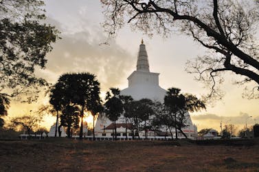 Visite du royaume antique d’Anuradhapura au départ de Colombo
