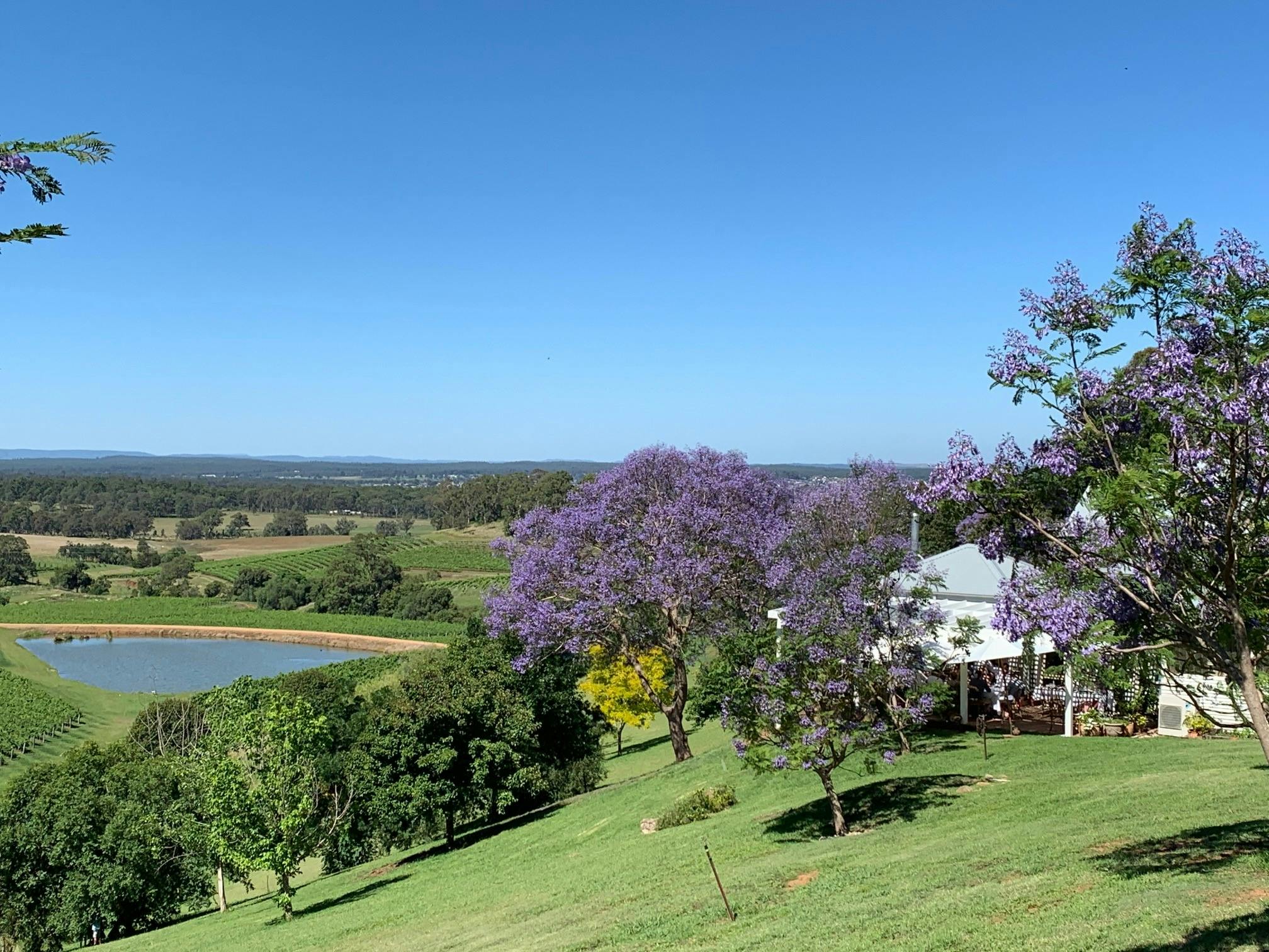 Private Hunter Valley tour with lunch musement