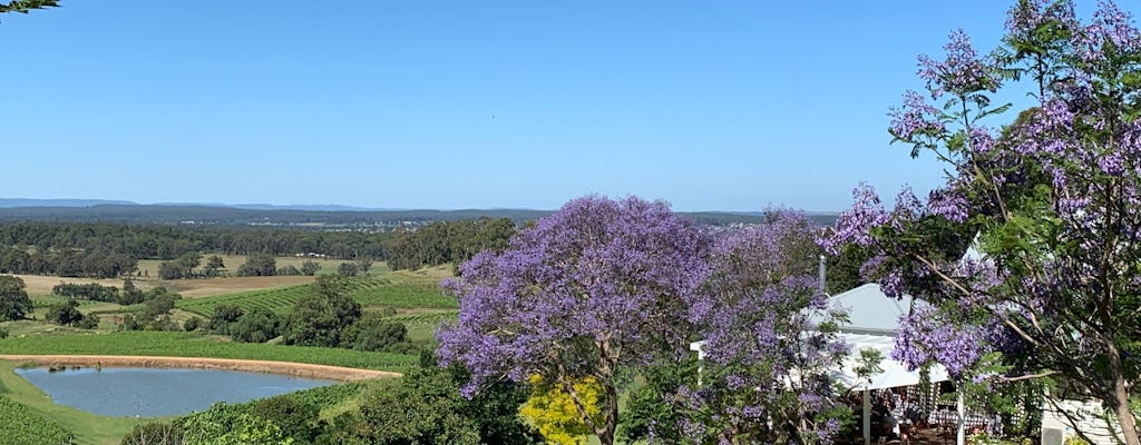 Tour privado em Hunter Valley com almoço