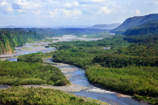 Excursión de un día a la Amazonía ecuatoriana