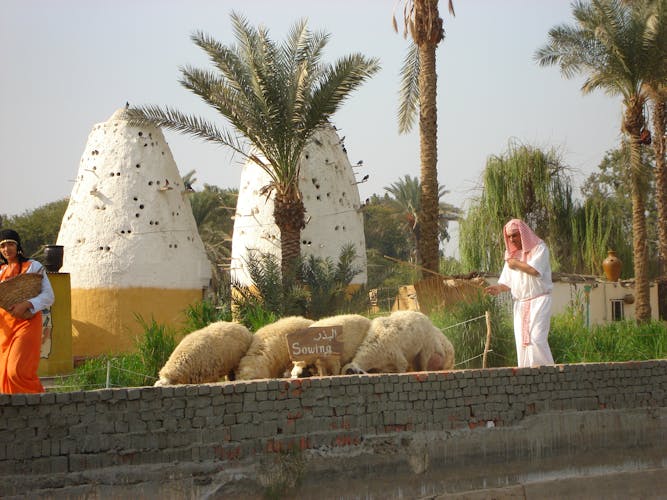 Half-day The Pharaonic village tour