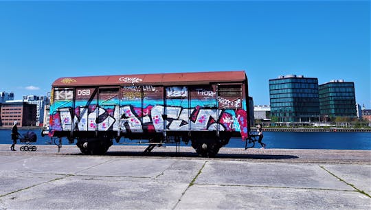 The Copenhagen urban excursion