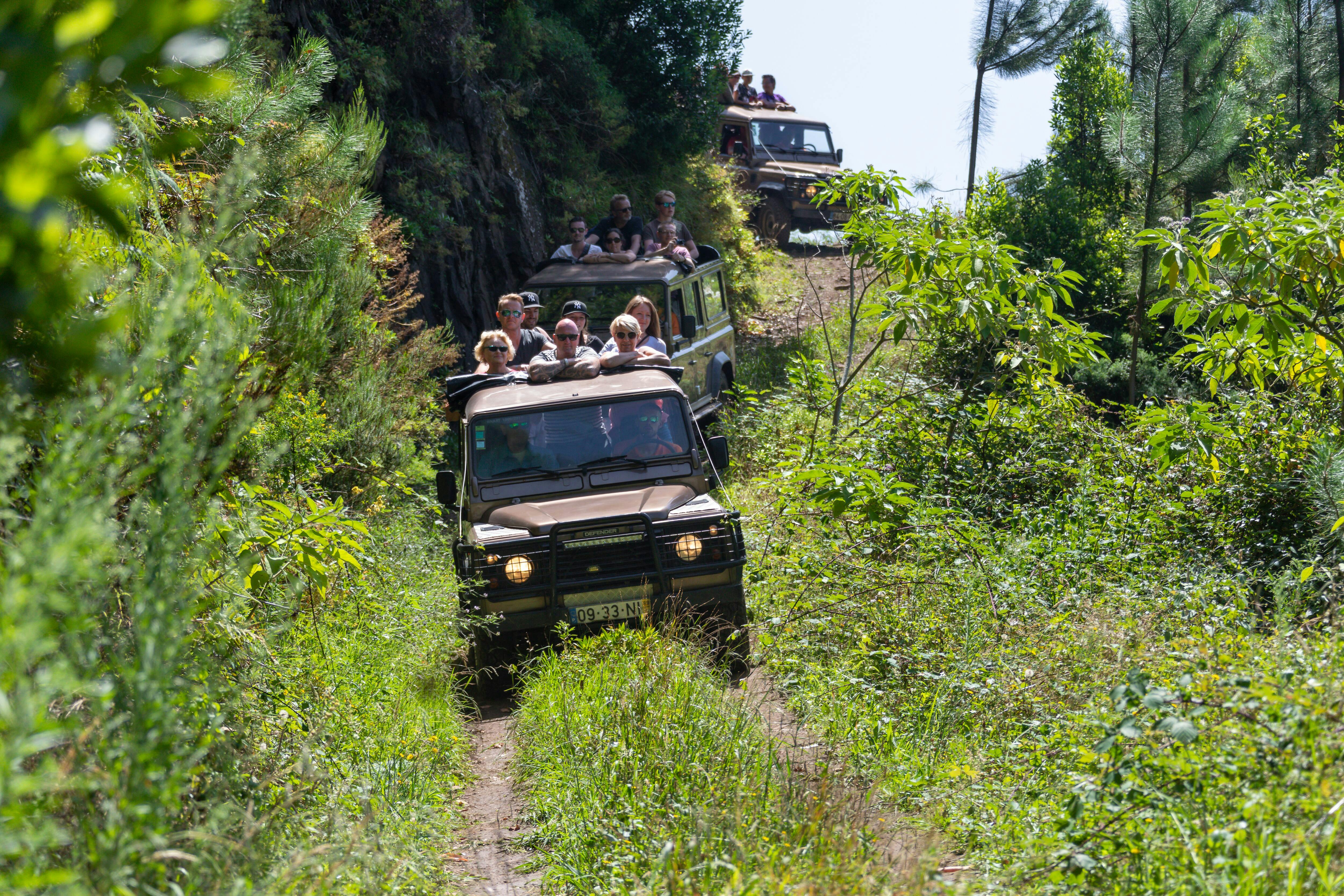 4x4 Madeira Mountain Tour & Dolphin Watching Boat