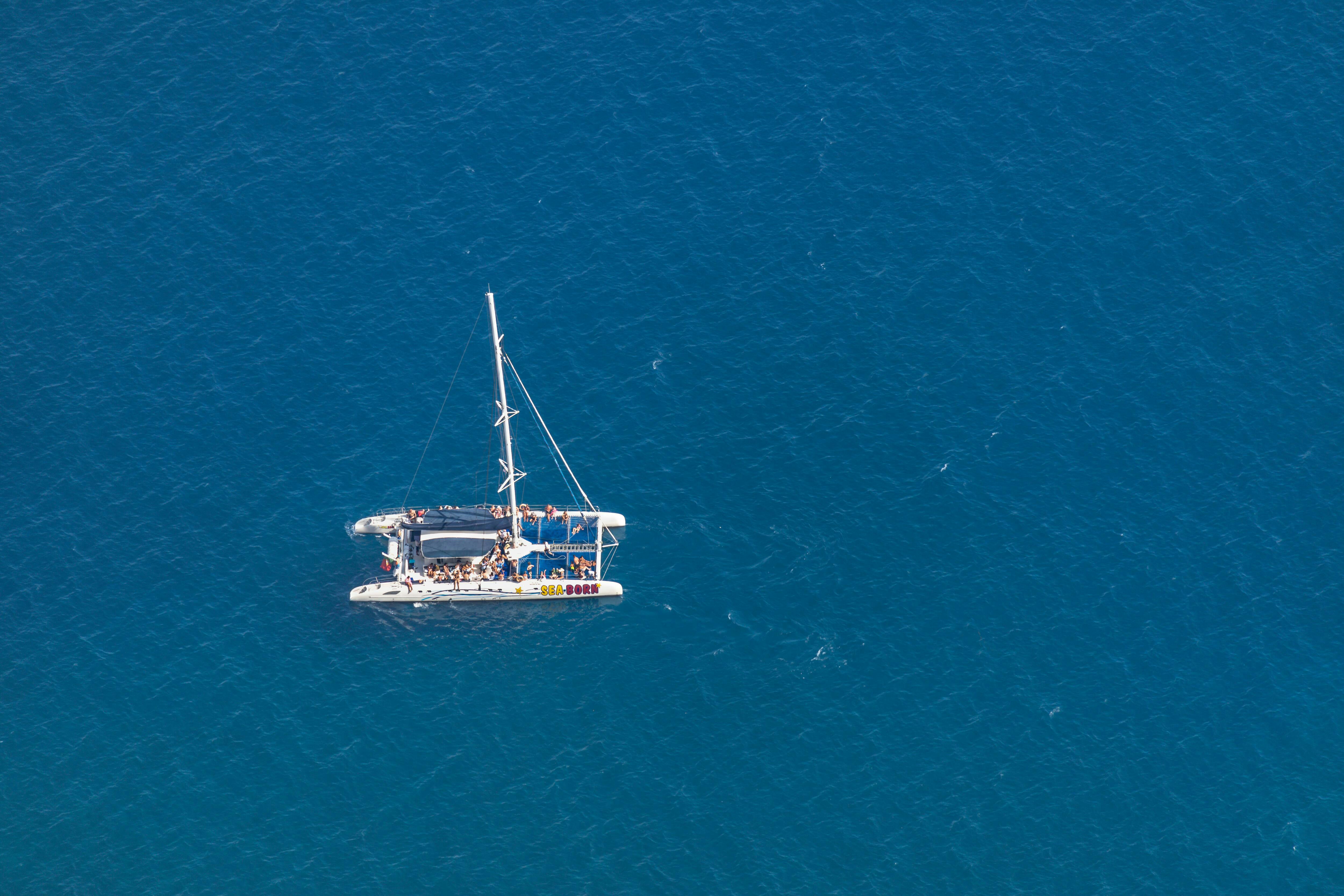 4x4 Madeira Mountain Tour & Dolphin Watching Boat