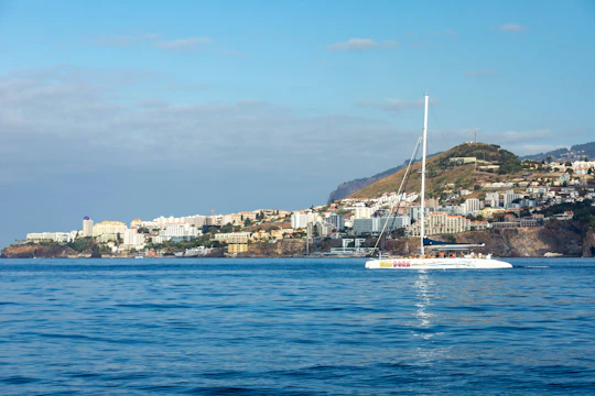 4x4 majestic mountains & dolphin-watching boat tour