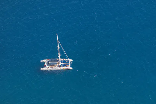 4x4 Madeira Mountain Tour & Dolphin Watching Boat