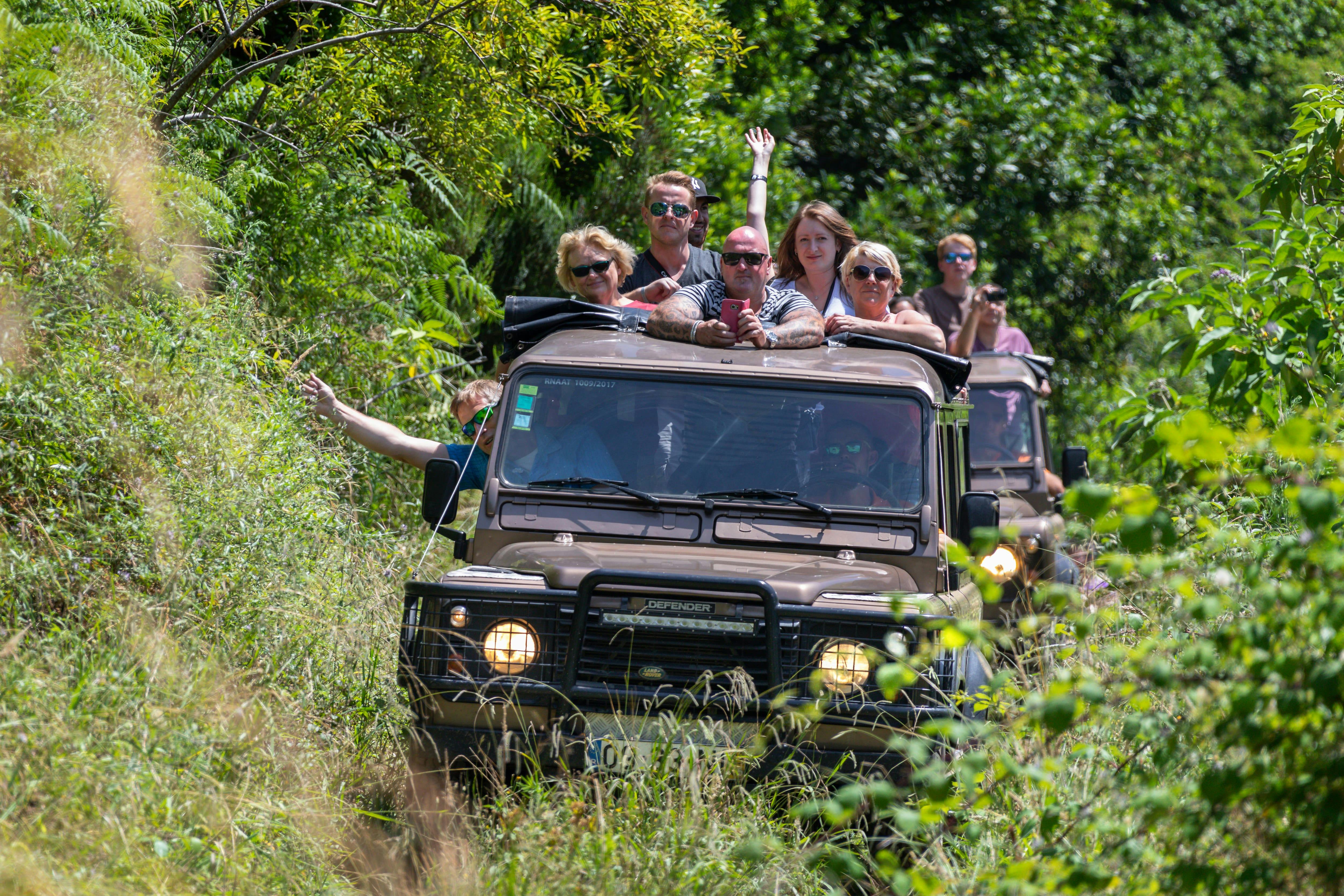 4x4 Madeira Mountain Tour & Dolphin Watching Boat