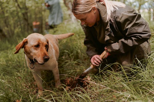 Truffle hunting near Koper
