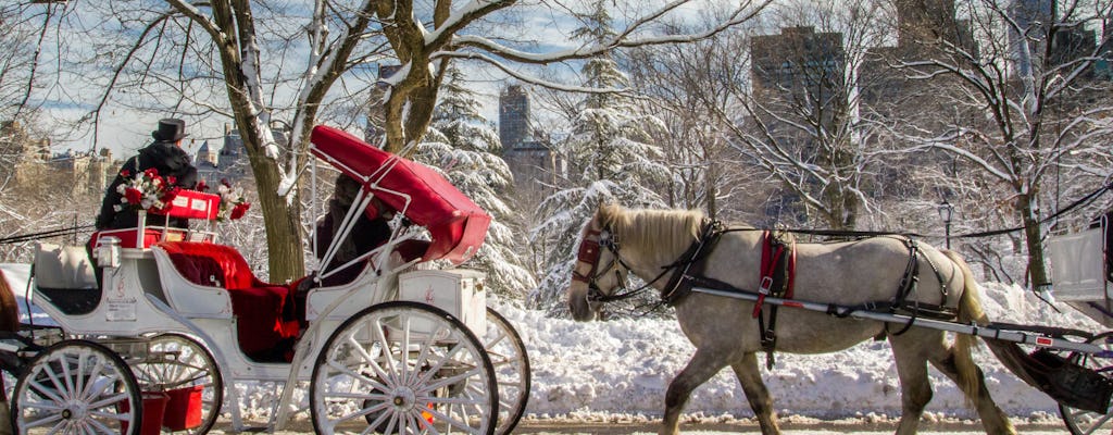 Central Park Ritjes met paard en wagen