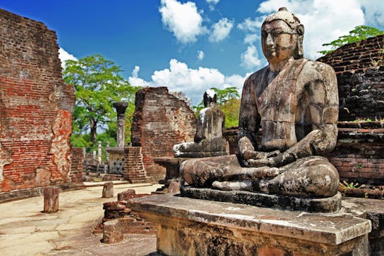 Polonnaruwa y Minneriya con viaje en tren desde la costa este