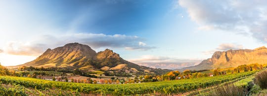 Passeio de Stellenbosch a Boschendal e-bike