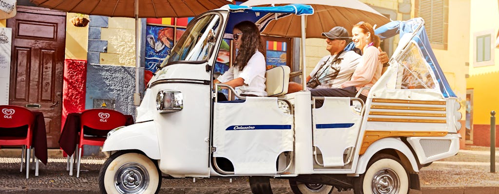 Tour in tukxi di Camara de Lobos e Faja dos Padres