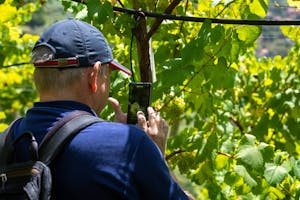 Degustazioni di vini a Madera