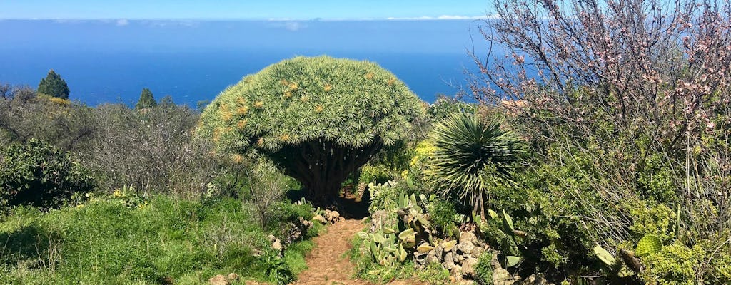 Sentier de randonnée du rêve à La Palma avec transfert