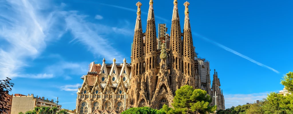 Tour privato di Barcellona e Sagrada Familia