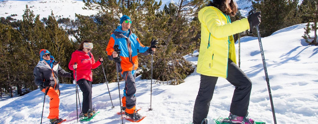 Excursión con raquetas de nieve en Grau Roig