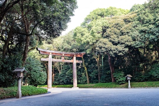 Visite de dégustation de Meiji Jingu et matcha
