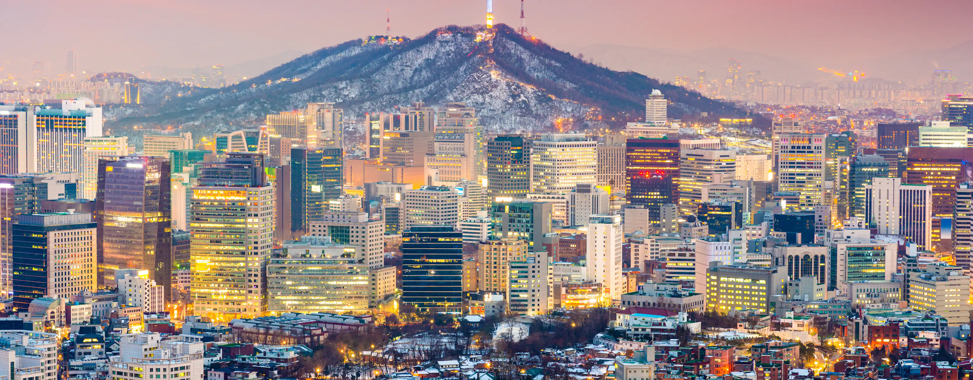 Ting at foretage sig i Seoul
