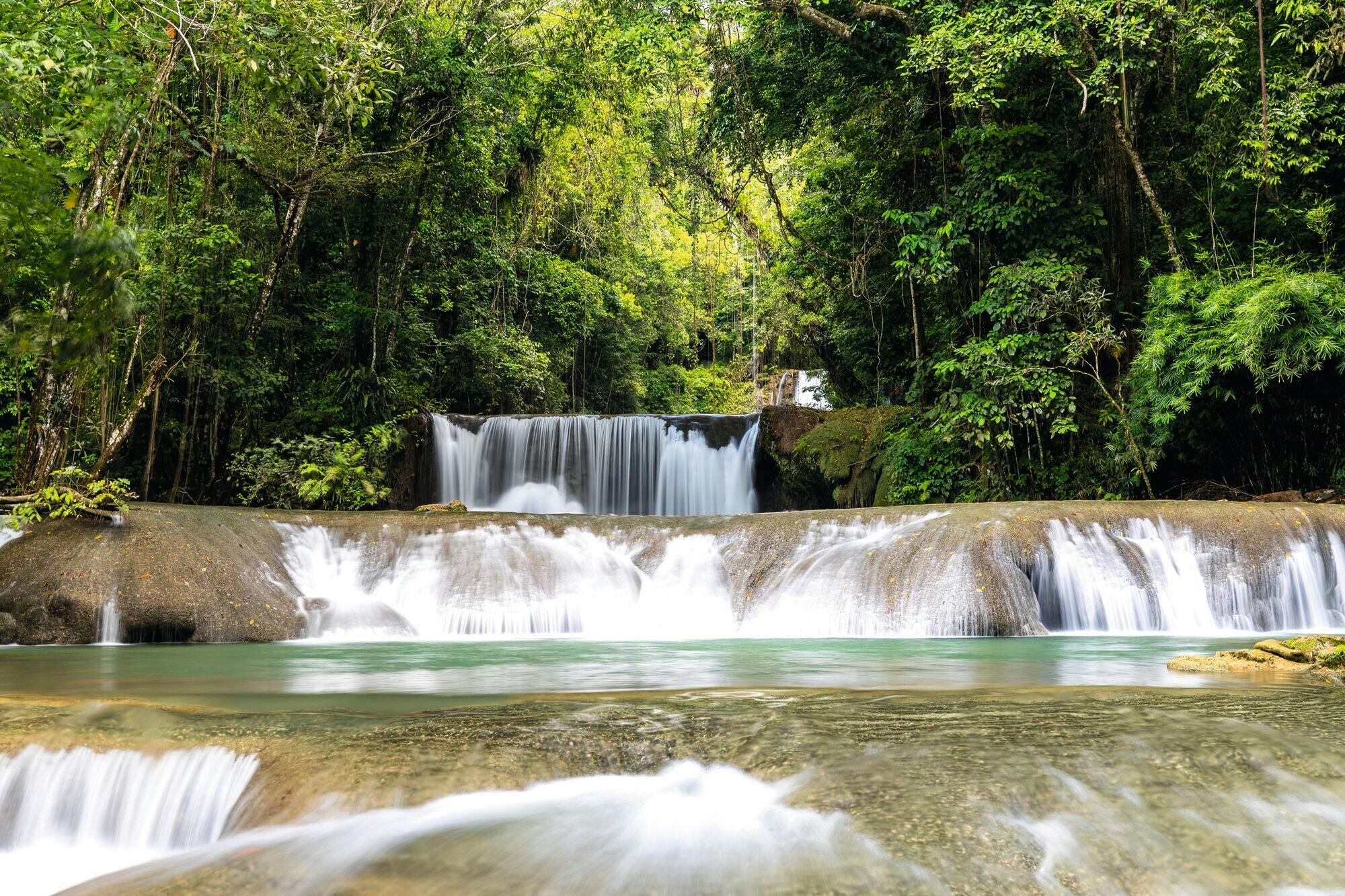 Black River and YS Falls Tour