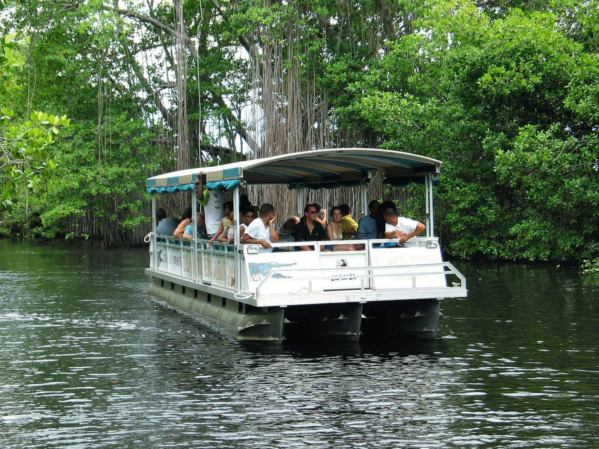 Black River and YS Falls Tour