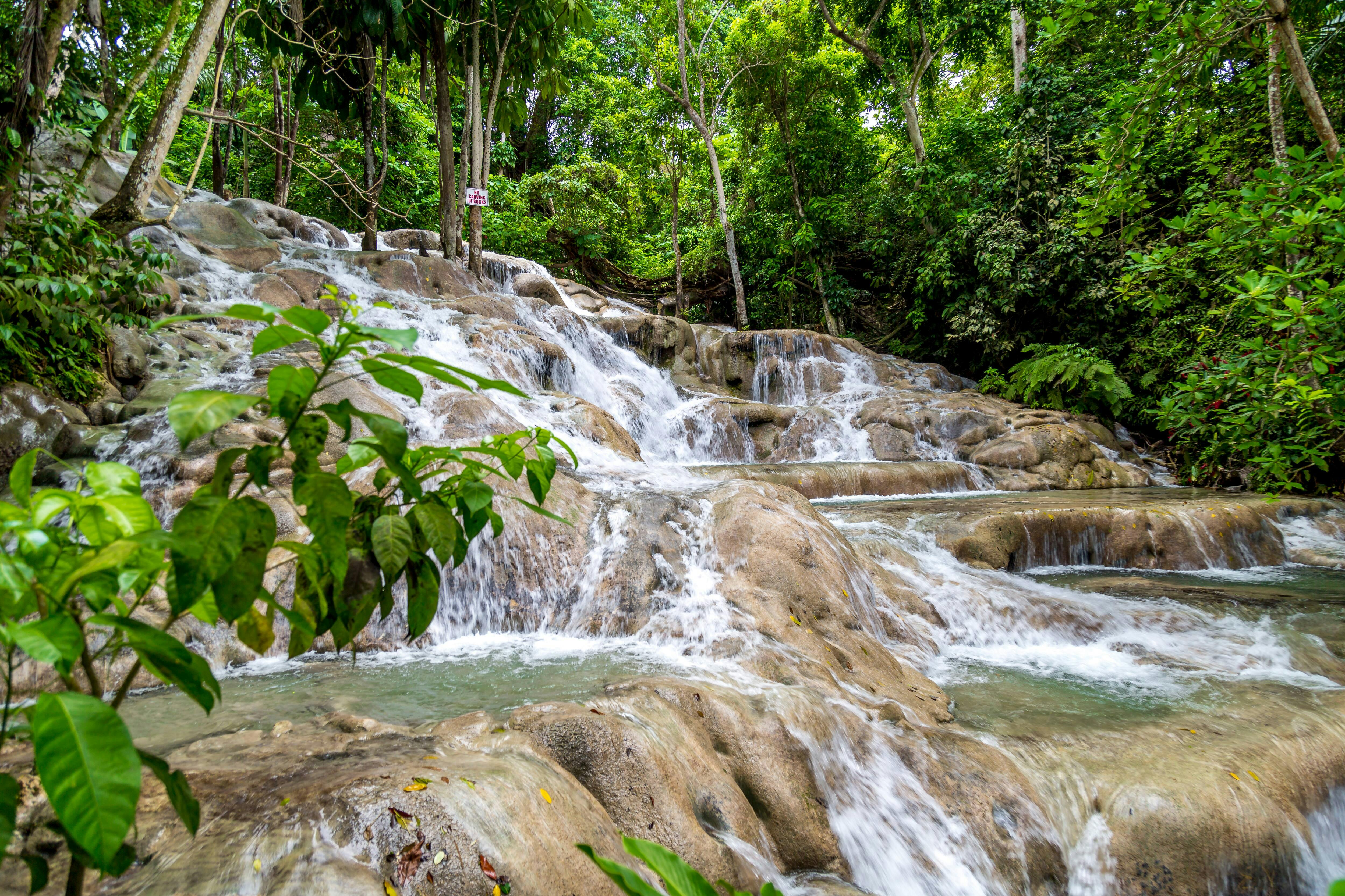 Dunn's River Falls & Nine Mile Tour