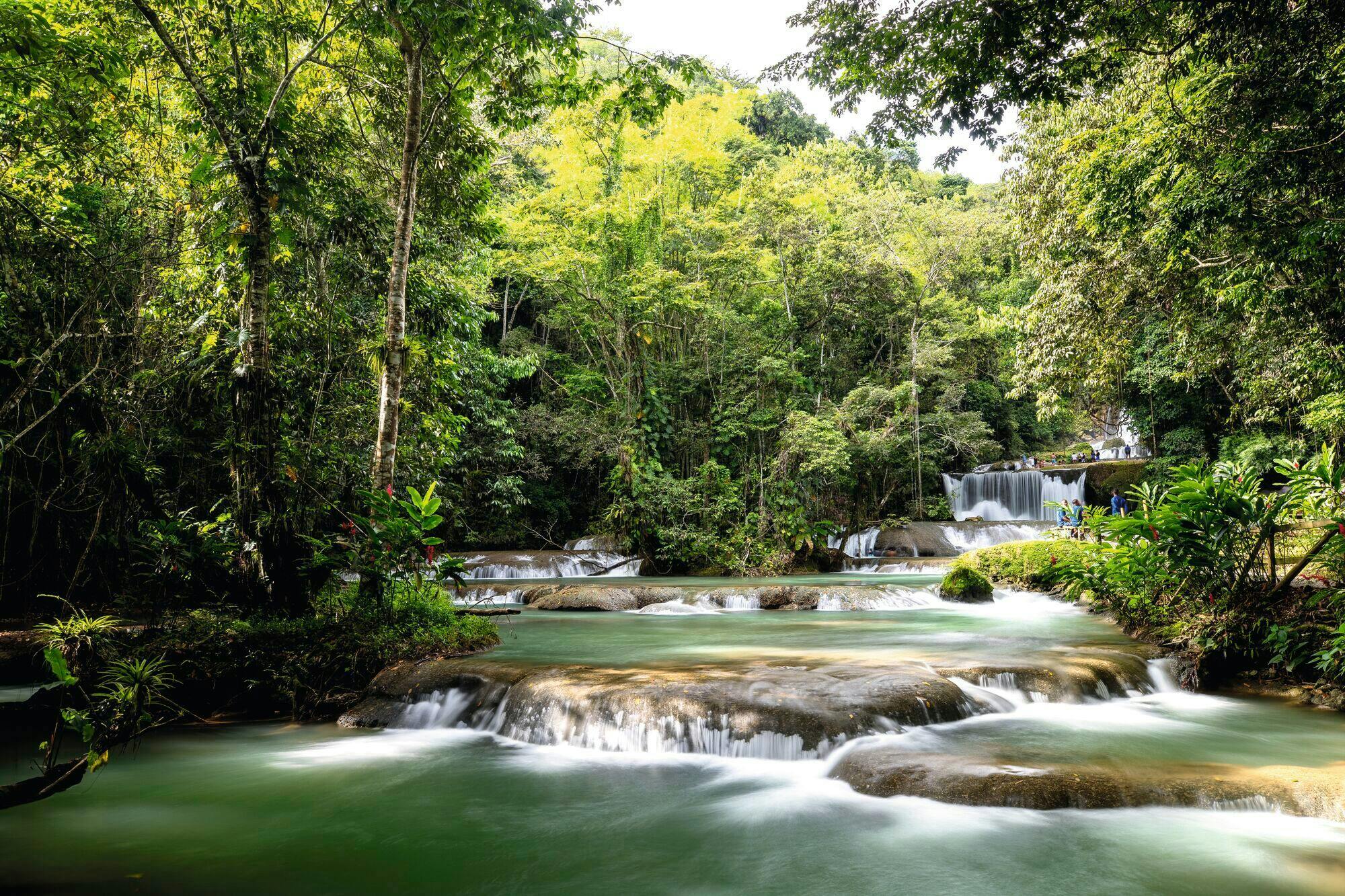 Black River and YS Falls Tour