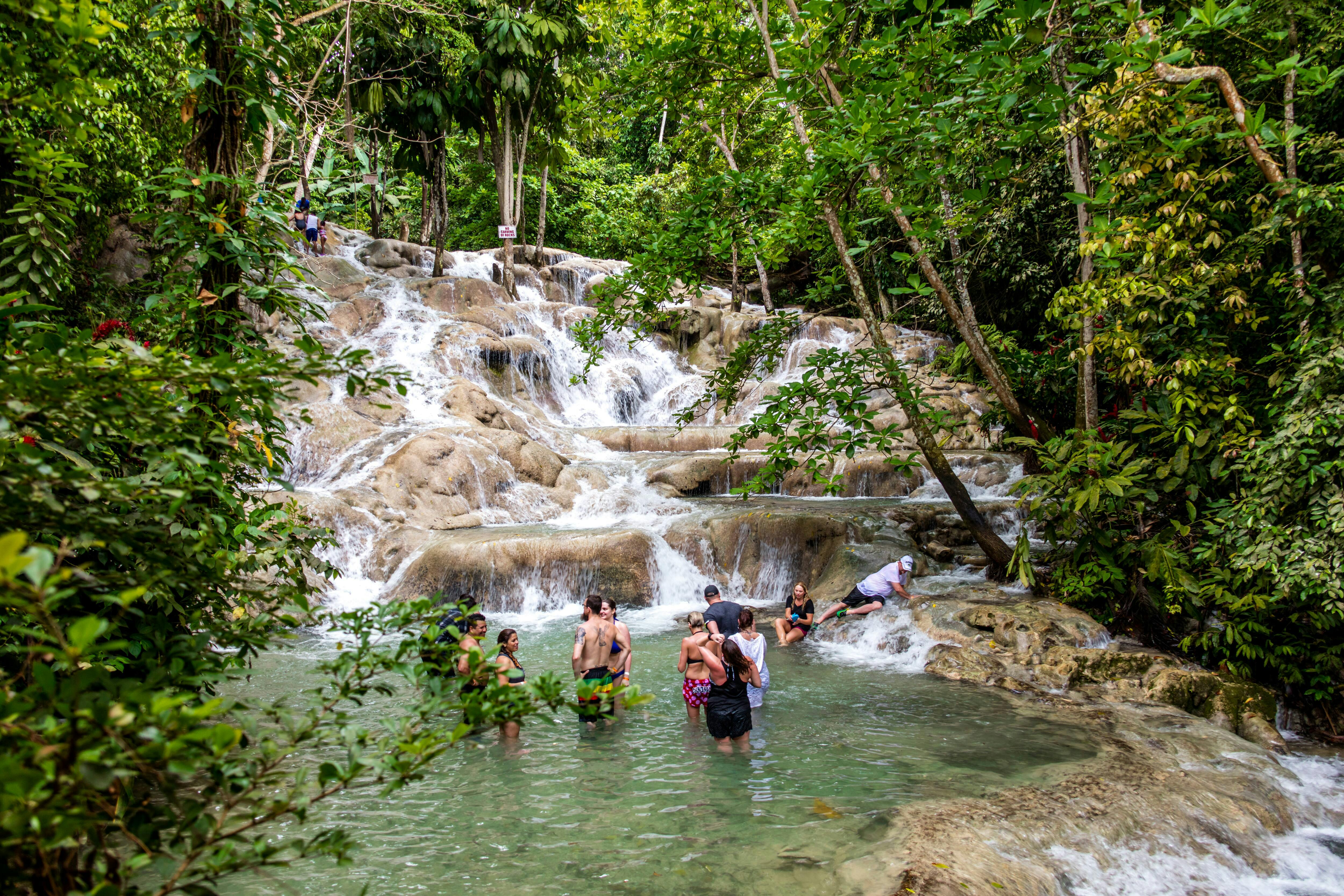 Dunn's River Falls & Nine Mile Tour