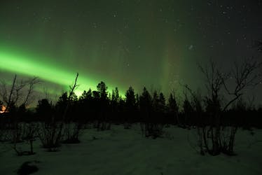 Longest Northern Lights tour from Kiruna with dinner
