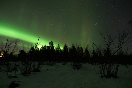 Tour più lungo dell'aurora boreale da Kiruna con cena