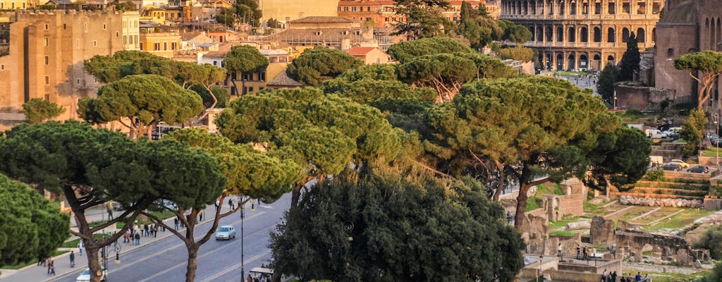 Skip-the-line Colosseum access and Vatican Museums tour