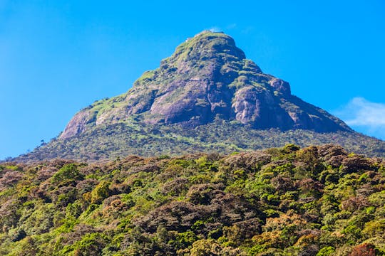 Panoramic glass cabin, kayaking & hiking 2-day adventure tour