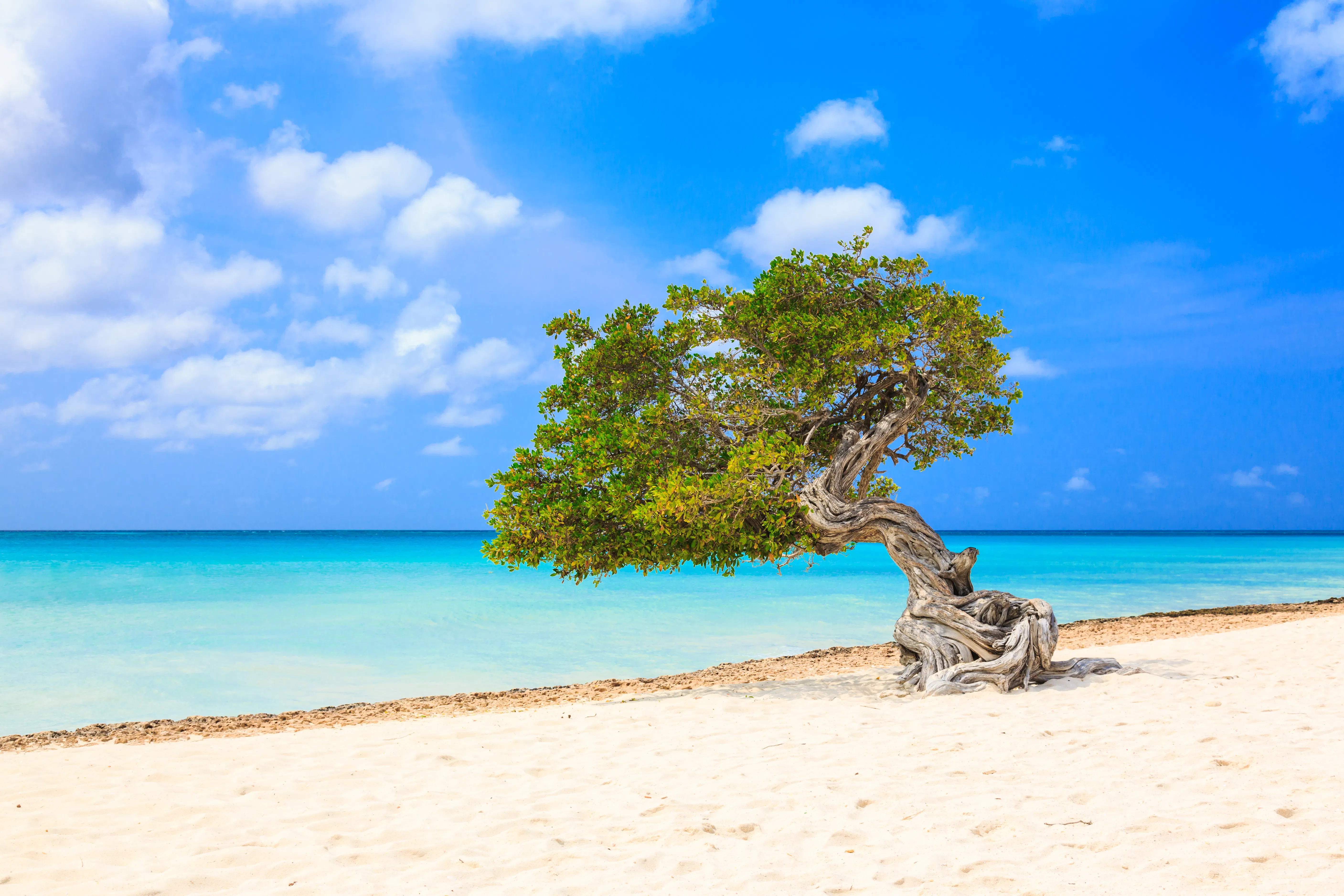 Aruba