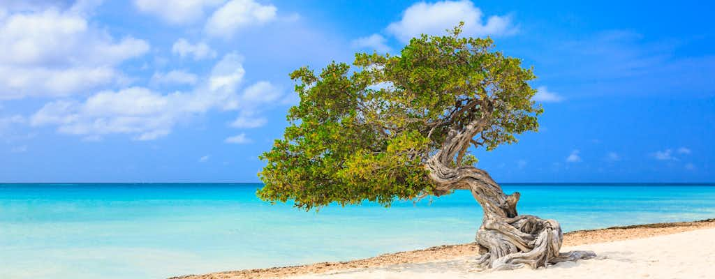 Entradas e tours para Aruba