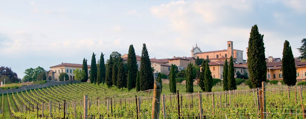 Franciacorta and Monte Isola by private Minivan from Milan or Verona