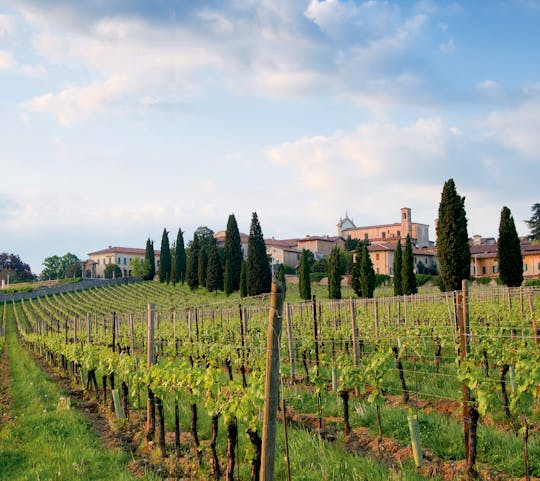 Franciacorta and Monte Isola by private Minivan from Milan or Verona Franciacorta and Monte Isola by private Minivan from Milan or Verona
