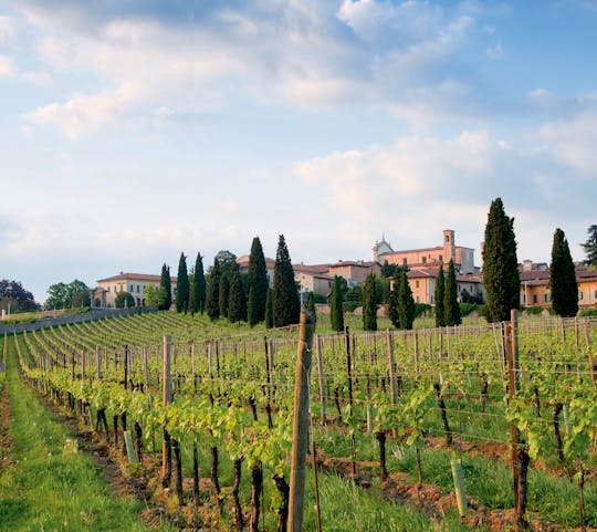 Franciacorta and Monte Isola by private Minivan from Milan or Verona