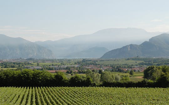 Franciacorta e suas vinícolas em Minivan particular de Milão ou Verona
