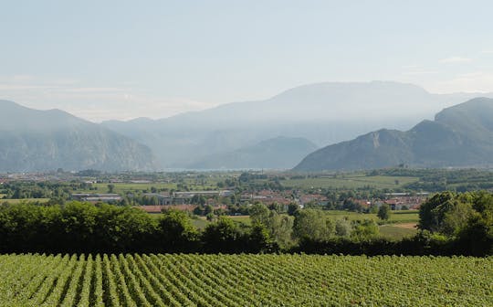 Franciacorta en zijn wijnmakerijen per privéminibus vanuit Milaan of Verona